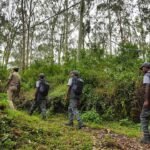Yelagiri for Beginners